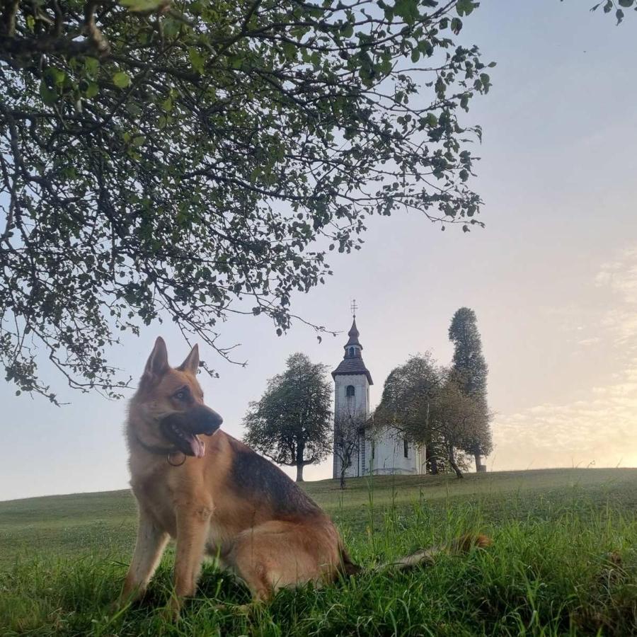 Apartmaji Pr Smolet Škofja Loka Esterno foto