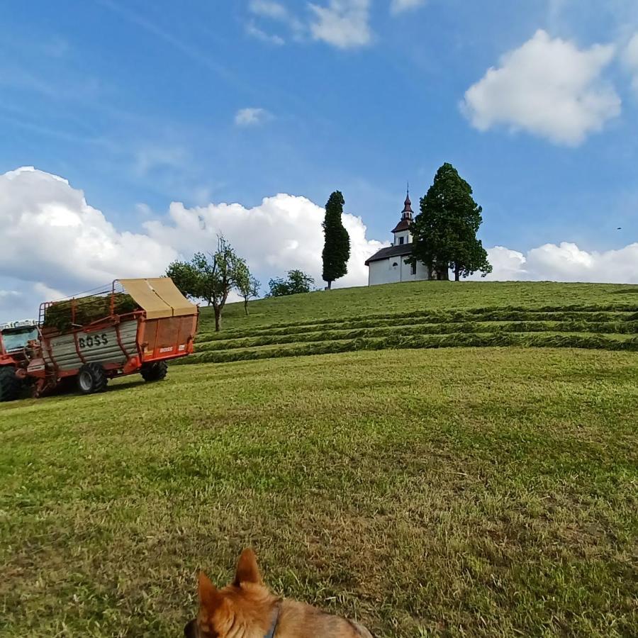 Apartmaji Pr Smolet Škofja Loka Esterno foto