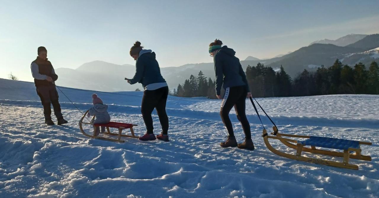 Apartmaji Pr Smolet Škofja Loka Esterno foto